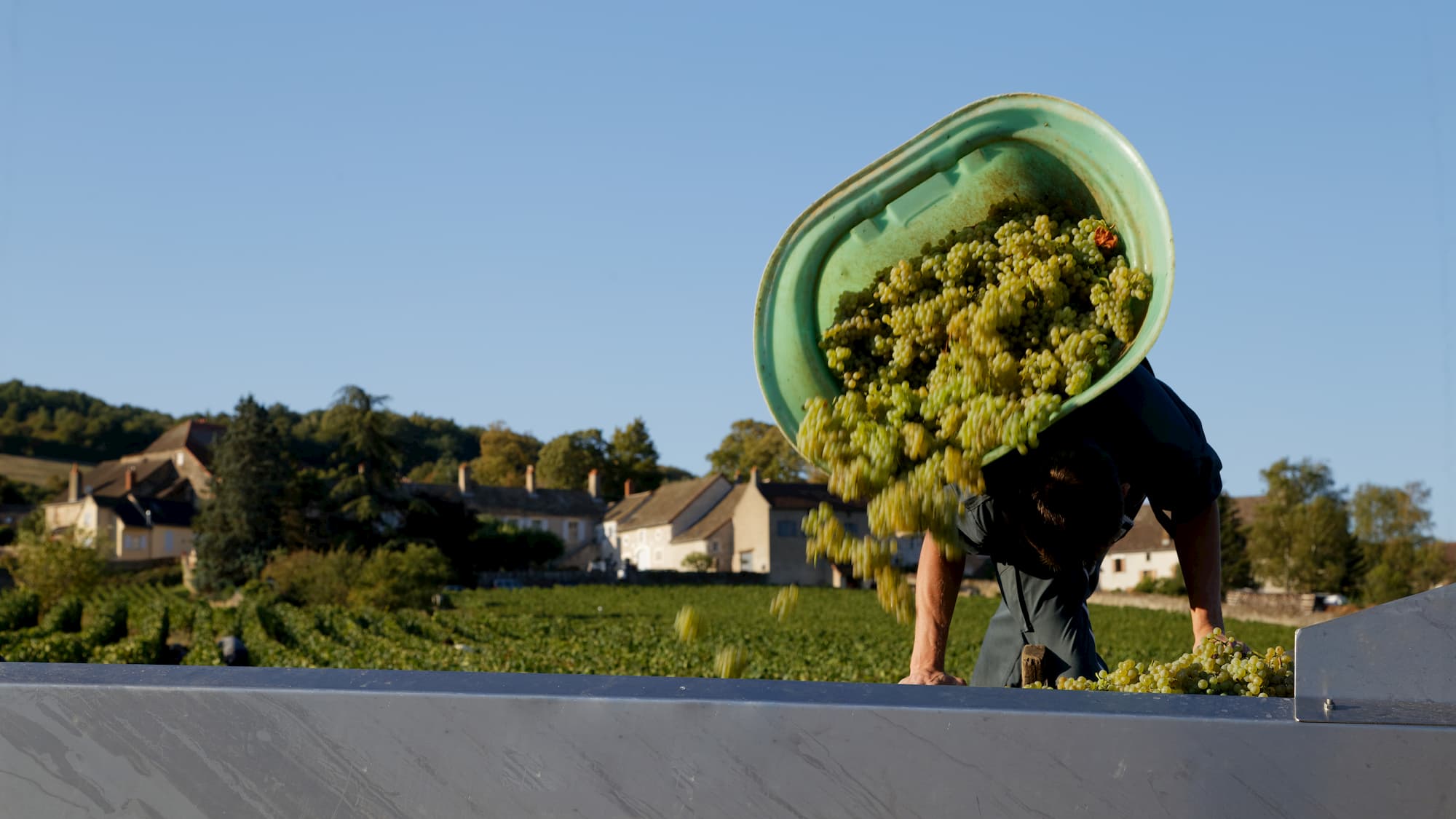 Vignoble Domaine de l'Évêché