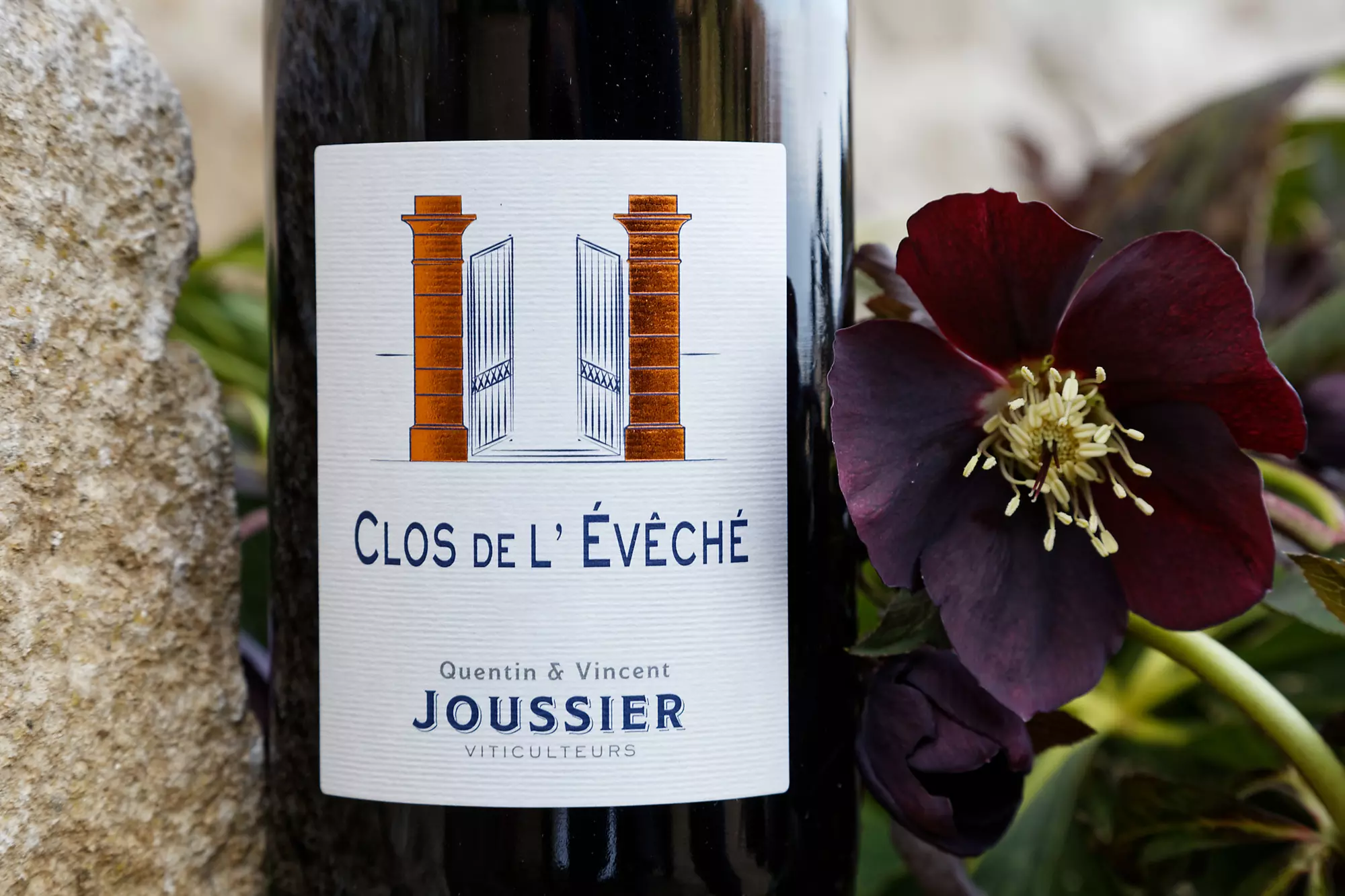 BOURGOGNE CÔTE CHALONNAISE Blanc 2024