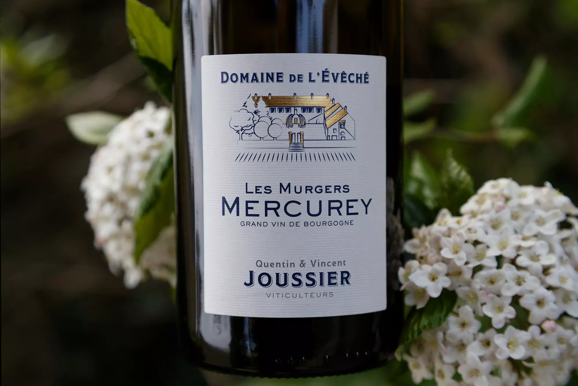 Mercurey Murgers 2024